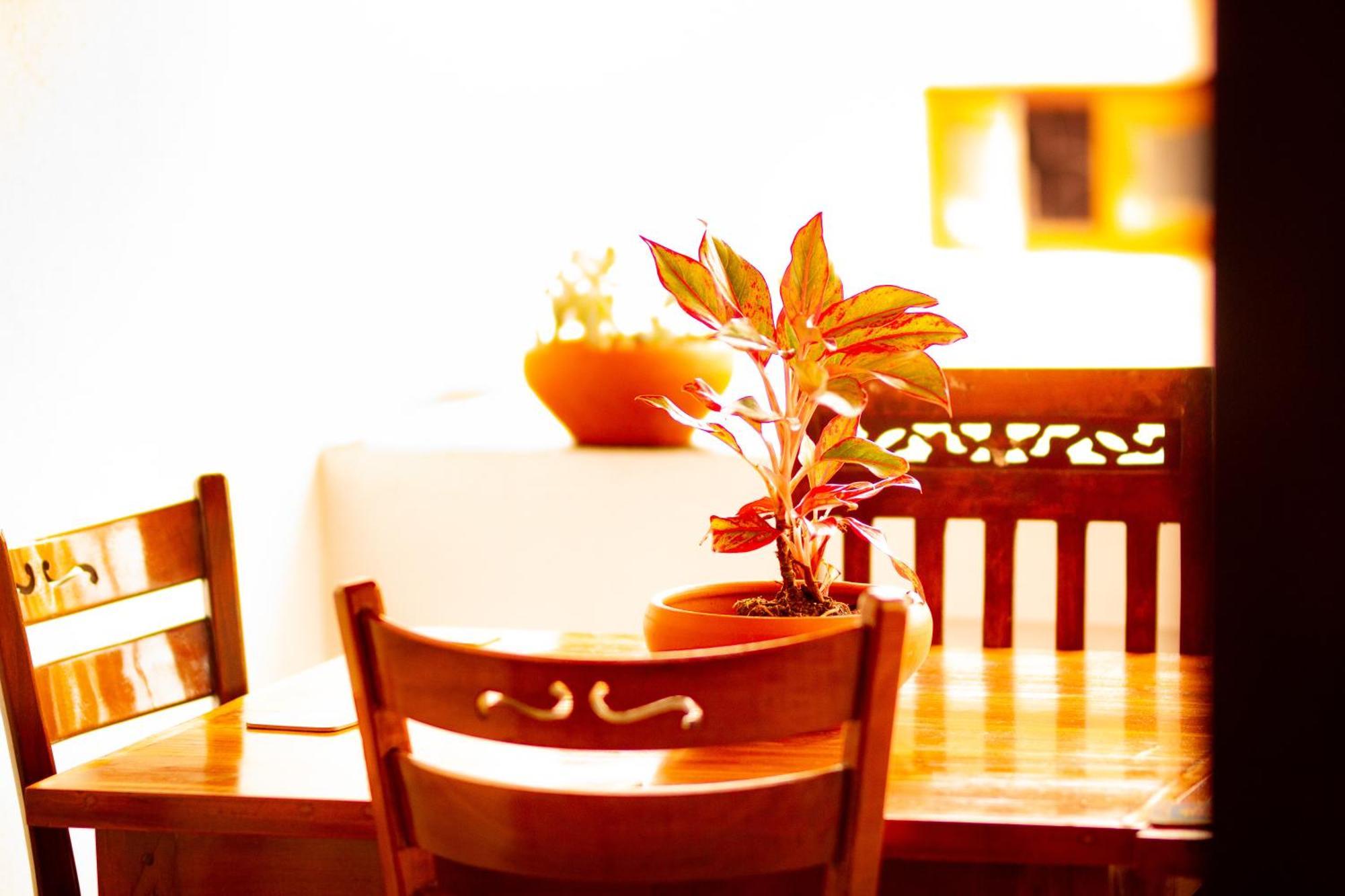Golden Town Hotel Tangalle Ngoại thất bức ảnh